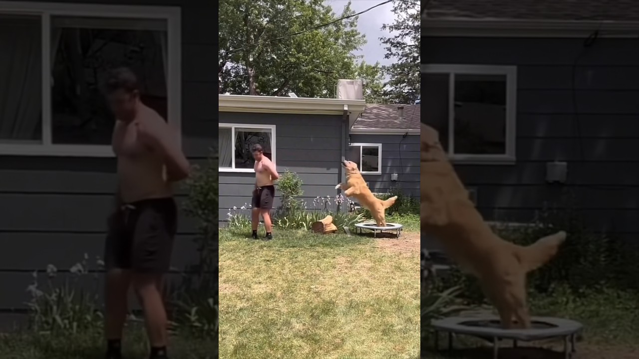 You are currently viewing Useful Websites Day 71 #shortsfeed